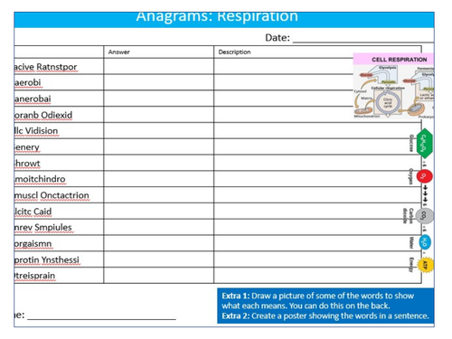 Respiration Anagrams Puzzle Sheet Keywords KS3 Settler Starter Cover Lesson Science Biology