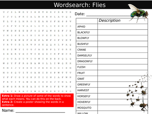 Types of Flies Animals Insects Wordsearch Sheet Keywords KS3 Settler Starter Cover Lesson