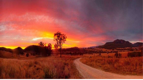 australian landscapes in relation to Fox book by Magaret wild