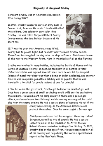Biography of Sgt Stubby example/model text