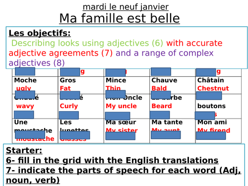 French Adjectival Agreement - appearance, family