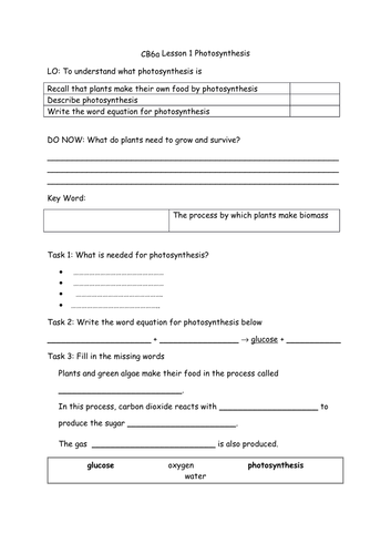 CB6a Photosynthesis worksheet