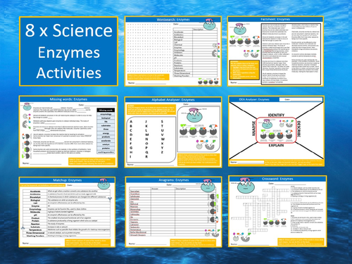 8 x Enzymes Starter Activities Keywords Wordsearch Crossword Science Biology Enzyme