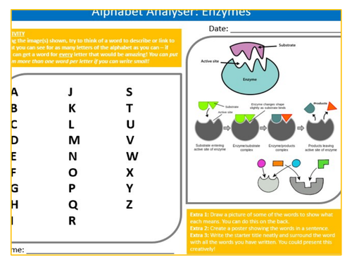 Enzymes Alphabet Analyser Sheet Keywords KS3 Settler Starter Cover Lesson Science Biology