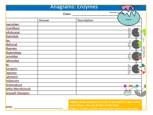 Enzymes Anagrams Sheet Keywords KS3 Settler Starter Cover Lesson Science Biology