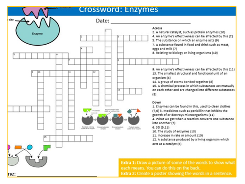 Enzymes Crossword Puzzle Sheet Keywords KS3 Settler Starter Cover