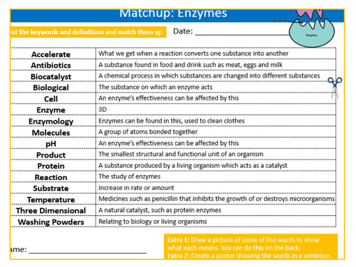 Enzymes Definitions Matchup Sheet Keywords KS3 Settler Starter Cover Lesson Science Biology