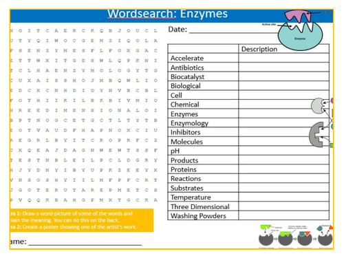 Enzymes Wordsearch Puzzle  Sheet Keywords KS3 Settler Starter Cover Lesson Science Biology