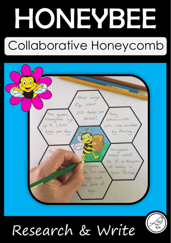 Honeybees – Collaborative Honeycomb Template – Research and Write Facts