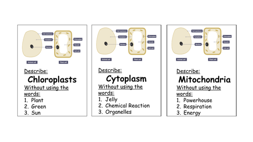 Cell Organelle Guess who