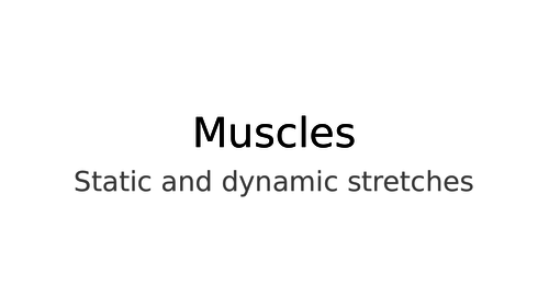 Muscles and stretches