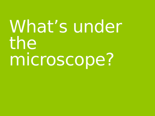 What's under the microscope - fun quiz