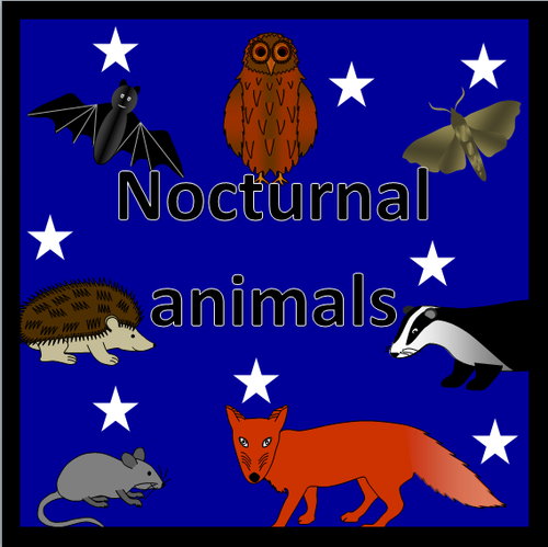 Nocturnal animals topic pack- Powerpoint, games, display