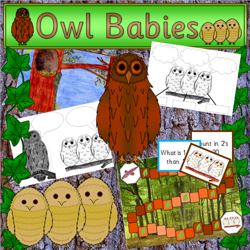 Owl Babies story pack - plus Nocturnal animals and Emotions