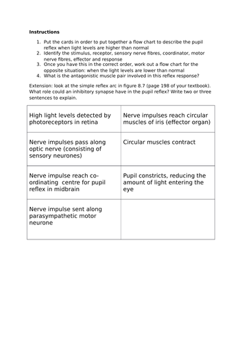 Pupil response - reflex arc card sort SNAB Biology