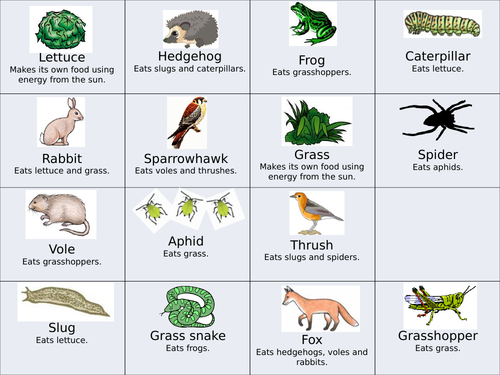 CB9a and CB9b 9-1 Edexcel Biology GCSE