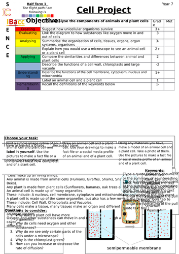 Cells Project KS3/KS4