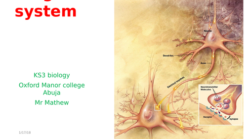 organ system