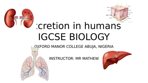 EXCRETION IN HUMANS IGCSE BIOLOGY