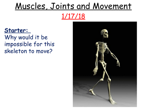 Muscles, joints and movement + effect of too much exercise/too little exercise.