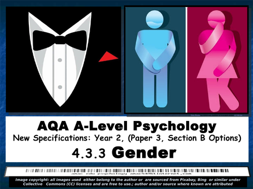 AQA A-Level Psychology, Year 2: GENDER  (an option on paper 3)