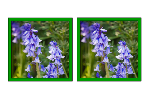 Flower matching pairs game- flash cards, display