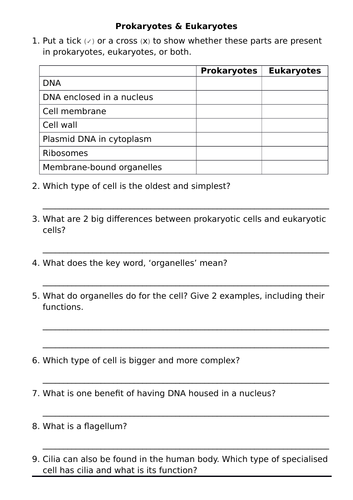 Eukaryotic Cell BTEC Level 3 Applied Sciences | Teaching Resources