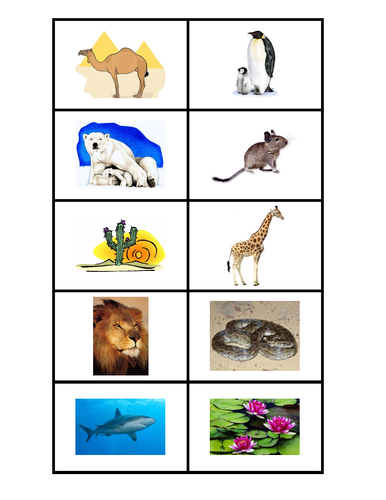 Adaptations Tricks Game