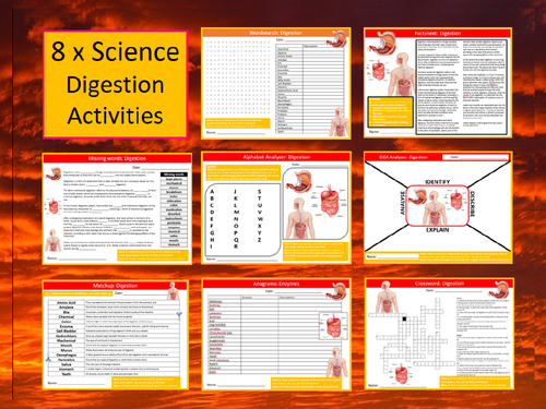 8 x Digestion Starter Activities Keywords Wordsearch Crossword Science Biology Excretion