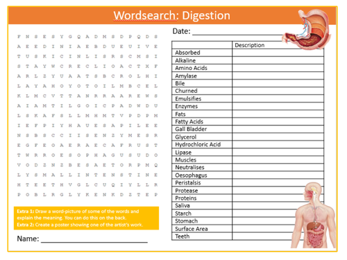 Digestion Wordsearch Puzzle Sheet Keywords KS3 Settler Starter Cover Lesson Science Biology