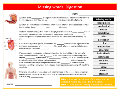 Digestion Missing Words Cloze Activity Sheet Keywords Settler Starter ...