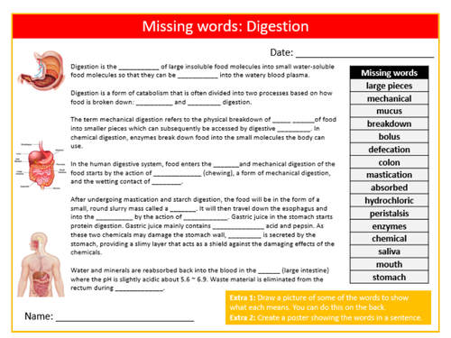 Digestion Missing Words Cloze Activity Sheet Keywords Settler Starter Cover Lesson Science Biology