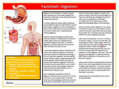 Digestion Factsheet Worksheet Sheet Keywords KS3 Settler Starter Cover Lesson Science Biology