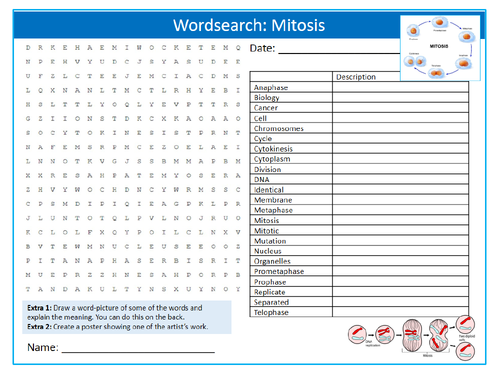 Mitosis Wordsearch Puzzle Sheet Keywords Settler Starter Cover Lesson Science Biology Cell Division