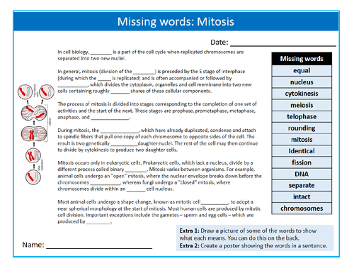 Mitosis Missing Words Cloze Keywords Settler Starter Cover Lesson Science Biology Cell Division