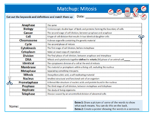 Mitosis Matchup Definitions Sheet Keywords Settler Starter Cover Science Biology Cell Division