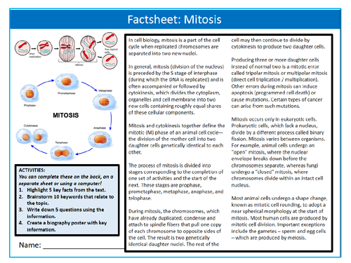 Mitosis Factsheet Worksheet Keywords Settler Starter Cover Lesson Science Biology Cell Division