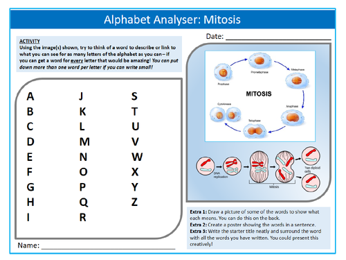 Mitosis Alphabet Analyser Keywords Settler Starter Cover Lesson Science Biology Cell Division