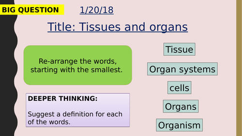 AQA new specification-Tissues and organs-B3.1