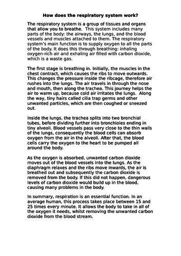 How does the respiratory system work? Explanation model text