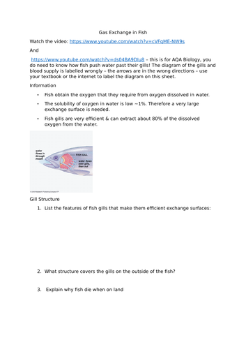 Gas Exchange in Fish