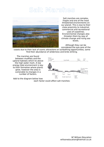 Salt Marshes