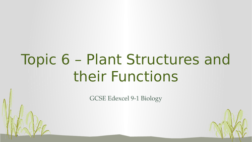 Edexcel GCSE 9-1 Biology Topic 6 – Plant Structures and their Functions