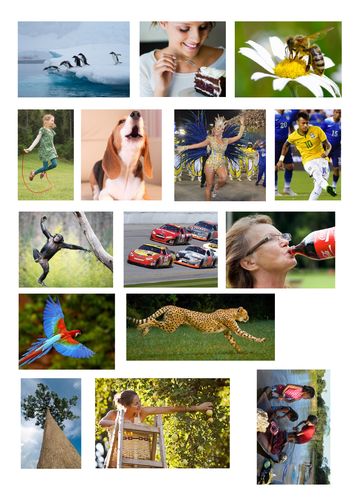 Images to generate sentence ideas. All contain an action such as barking, skipping, flying etc.