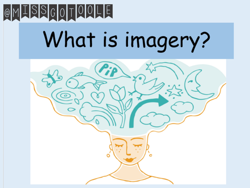 Understanding Imagery Lesson