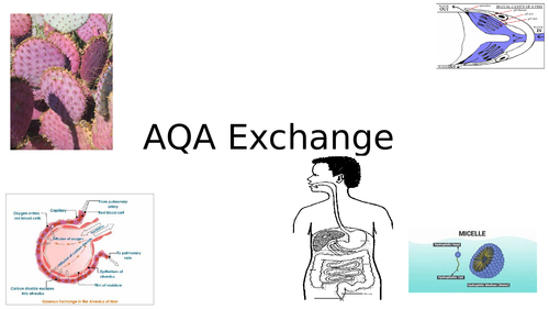 NEW Spec - AQA Exchange