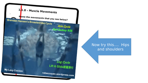 Muscle Movements at a joint (multiple movements)