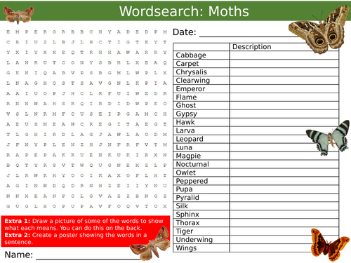 Moths Wordsearch Puzzle Sheet Keywords KS4 Settler Starter Cover Lesson Animals Insects