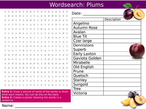 Plums Wordsearch Puzzle Sheet Keywords KS4 Settler Starter Cover Lesson Food Technology