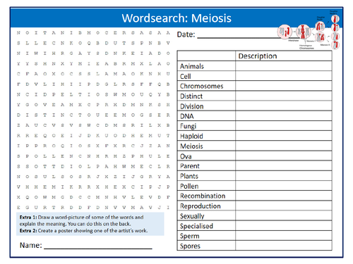 Meiosis Wordsearch Puzzle Sheet Keywords Settler Starter Cover Lesson Science Biology Cell Division